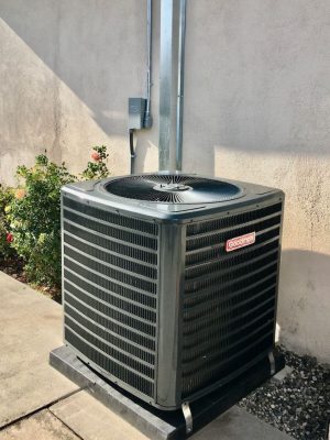 WhatsApp Image 2024-04-18 at 7.41.18 p. m. (1)